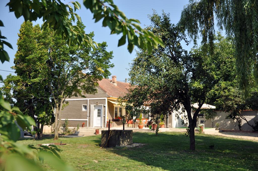 Home Tara Haţeg Exterior foto