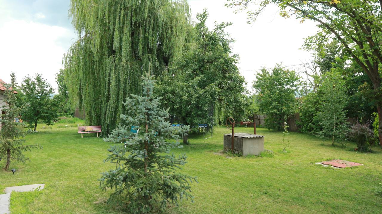 Home Tara Haţeg Exterior foto